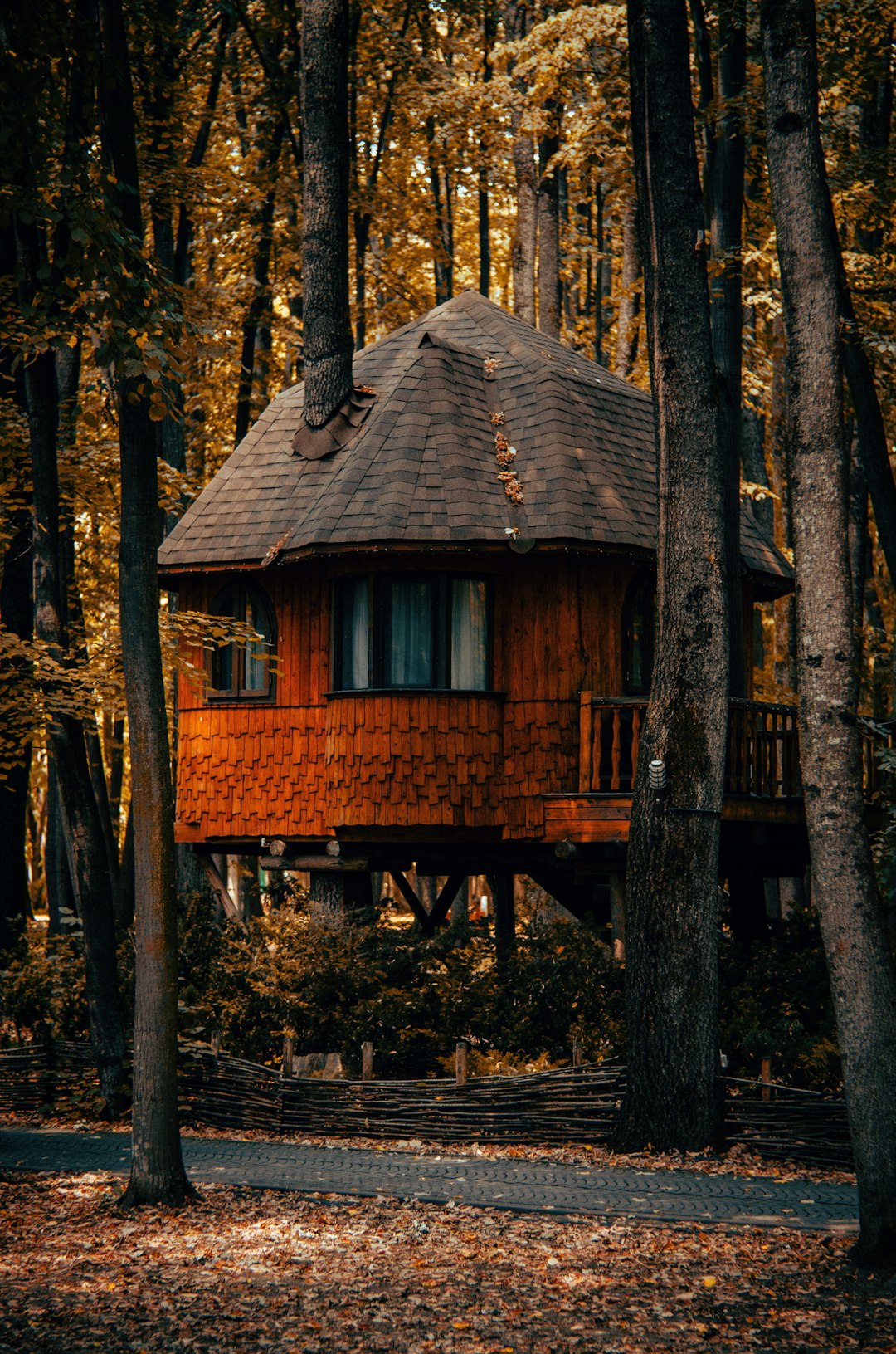 Forest Edge Residence